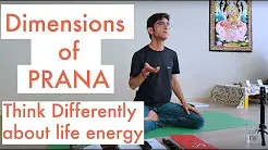 Dimensions prana