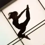 A silhouette of a dancer performing a high kick