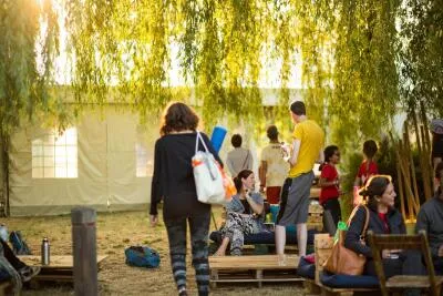 A group of people relaxing and talking under a willow tree at an outdoor event.