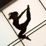 A silhouette of a dancer performing a high kick