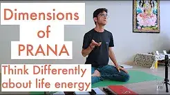 Dimensions prana
